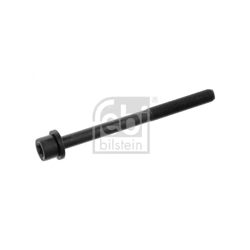 Cilindro galvutės varžtas  FEBI BILSTEIN 05979
