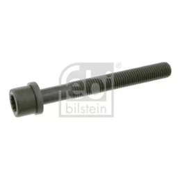 Cilindro galvutės varžtas  FEBI BILSTEIN 06666