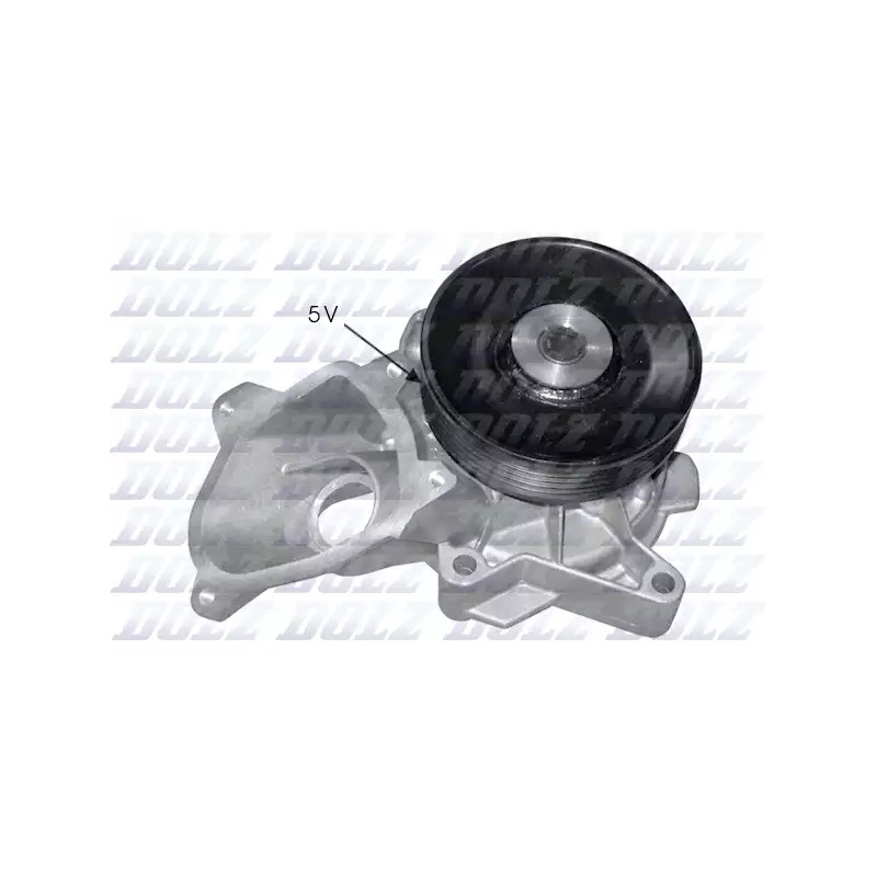 Vandens siurblys DOLZ B221