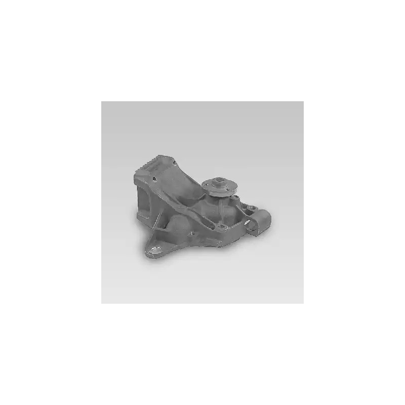 Vandens siurblys HEPU P353