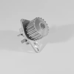 Vandens siurblys  HEPU P813