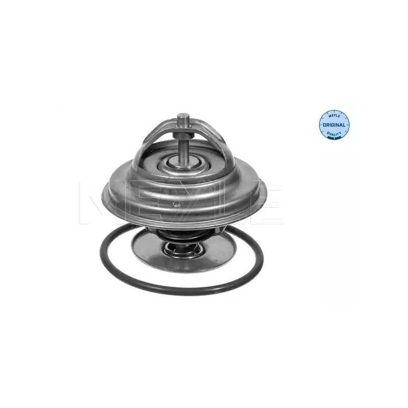 Termostatas  MEYLE 028 287 0000