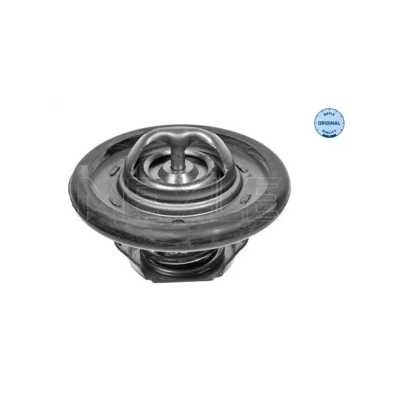 Termostatas  MEYLE 028 289 0000