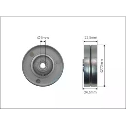 Dirželio kreipiantysis guolis CAFFARO 408-98