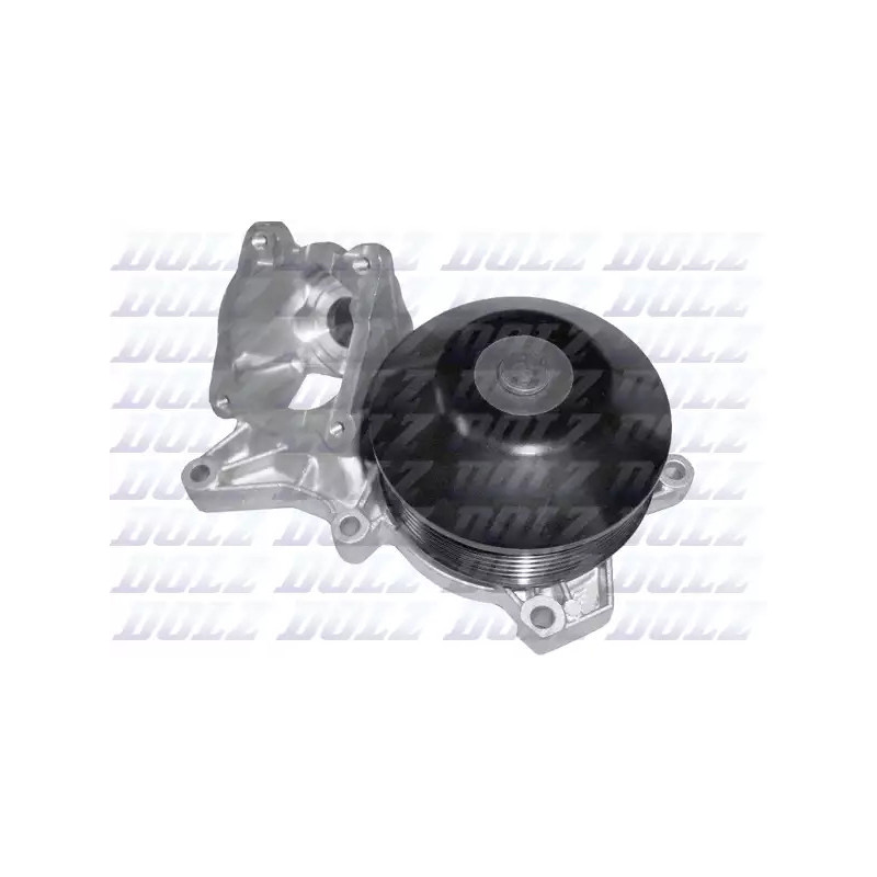 Vandens siurblys  DOLZ B231