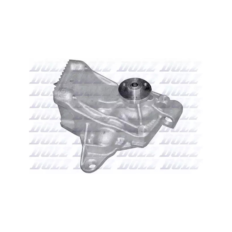 Vandens siurblys  DOLZ R221