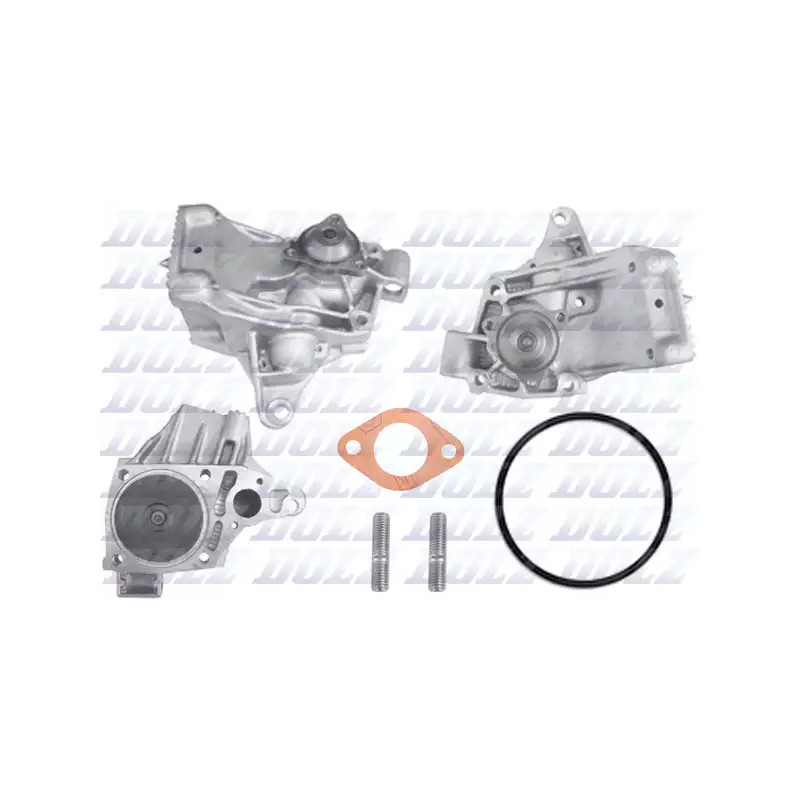 Vandens siurblys  DOLZ R220