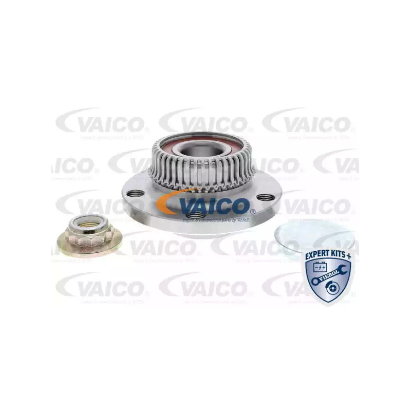 Rato guolio komplektas  VAICO V10-0046