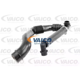 Žarna VAICO V10-0774