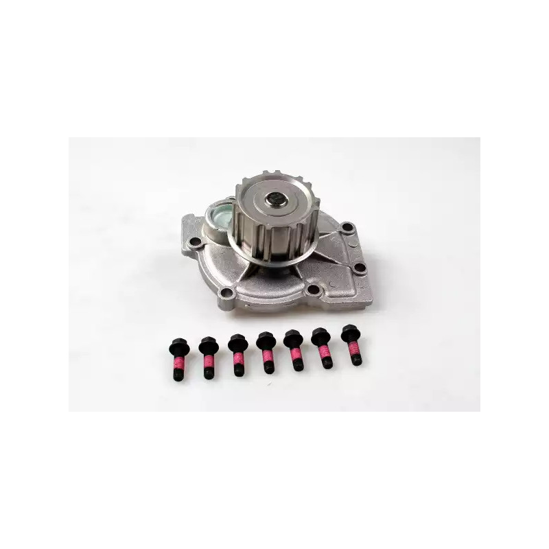 Vandens siurblys  HEPU P060