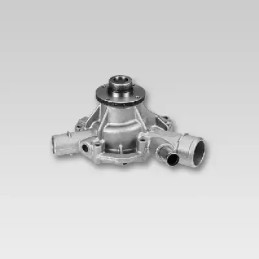 Vandens siurblys  HEPU P138