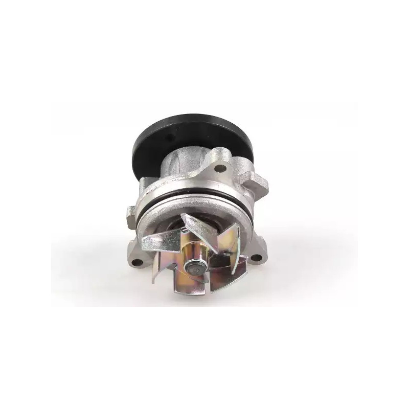 Vandens siurblys  HEPU P251