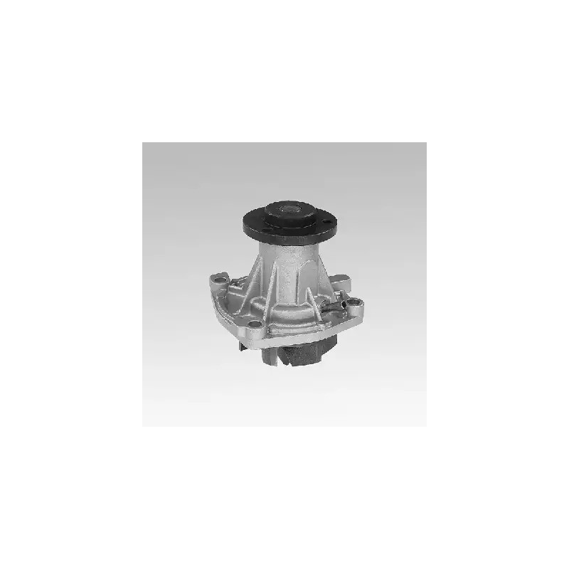 Vandens siurblys  HEPU P345