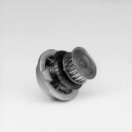 Vandens siurblys  HEPU P398