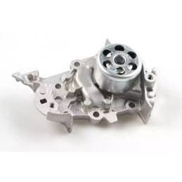 Vandens siurblys  HEPU P954S