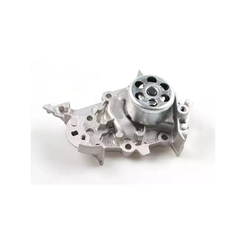 Vandens siurblys  HEPU P954S