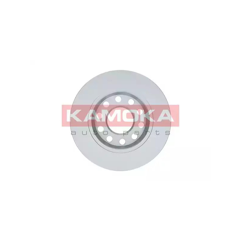 Stabdžių diskas  KAMOKA 1031113
