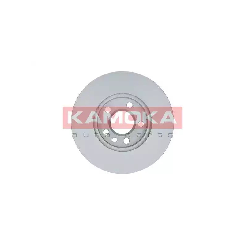 Stabdžių diskas  KAMOKA 1031691