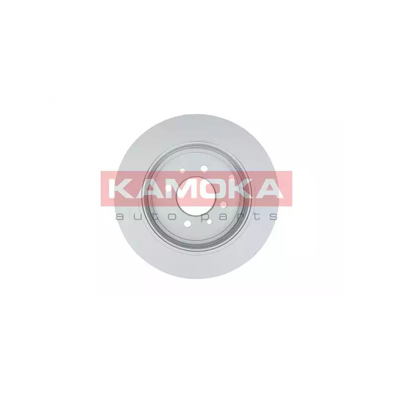 Stabdžių diskas  KAMOKA 1031738